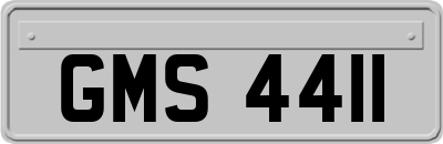 GMS4411
