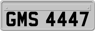 GMS4447