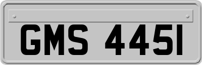 GMS4451