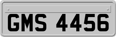 GMS4456