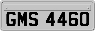 GMS4460