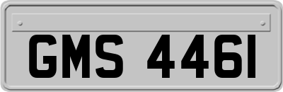 GMS4461