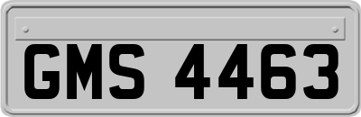 GMS4463