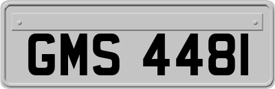 GMS4481