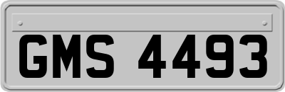 GMS4493