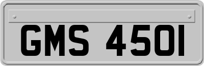 GMS4501