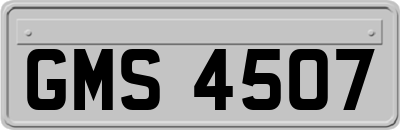 GMS4507
