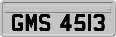 GMS4513