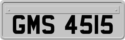 GMS4515