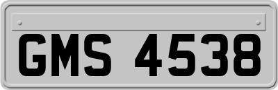 GMS4538