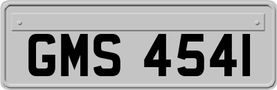 GMS4541