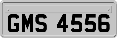 GMS4556