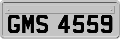 GMS4559