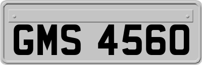GMS4560