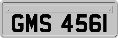 GMS4561