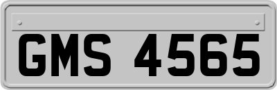 GMS4565