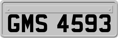 GMS4593