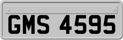 GMS4595