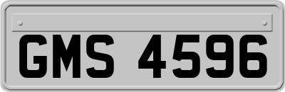 GMS4596