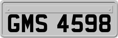 GMS4598