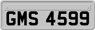 GMS4599
