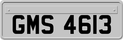 GMS4613