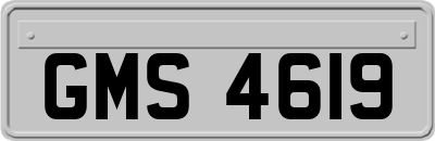 GMS4619