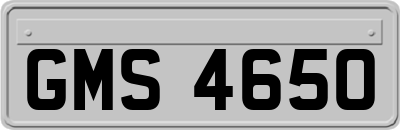 GMS4650