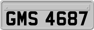 GMS4687