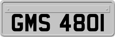 GMS4801