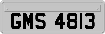 GMS4813