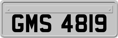 GMS4819