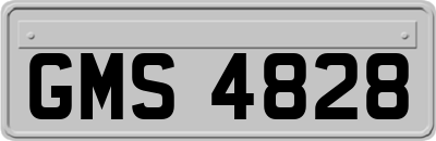 GMS4828