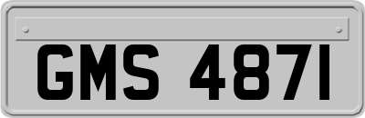 GMS4871