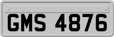 GMS4876