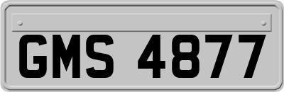 GMS4877