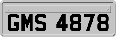 GMS4878