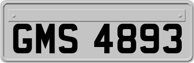 GMS4893