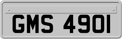 GMS4901