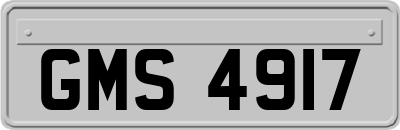 GMS4917