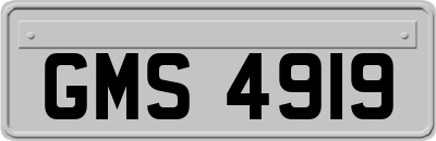 GMS4919