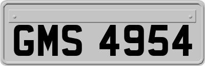GMS4954