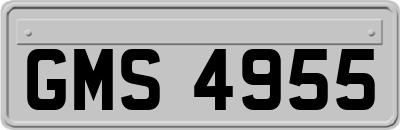 GMS4955