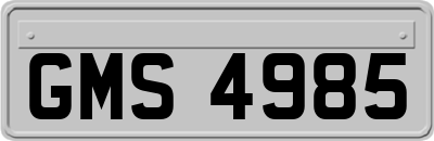 GMS4985
