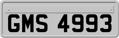 GMS4993
