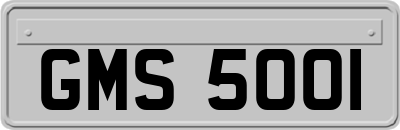 GMS5001