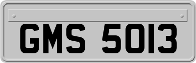 GMS5013