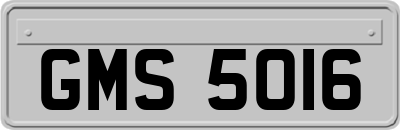 GMS5016
