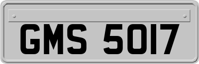 GMS5017