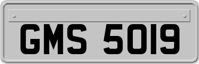 GMS5019